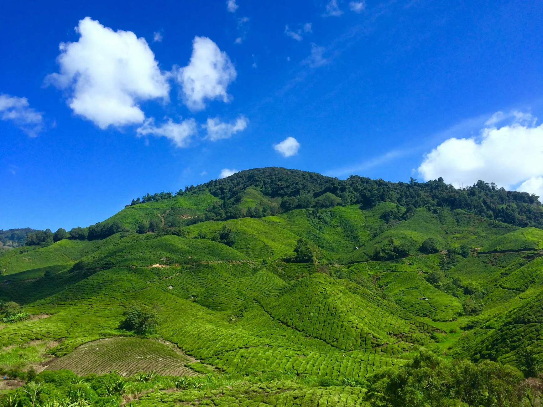 Potensi Keuntungan Investasi Tanah Kavling Produktif
