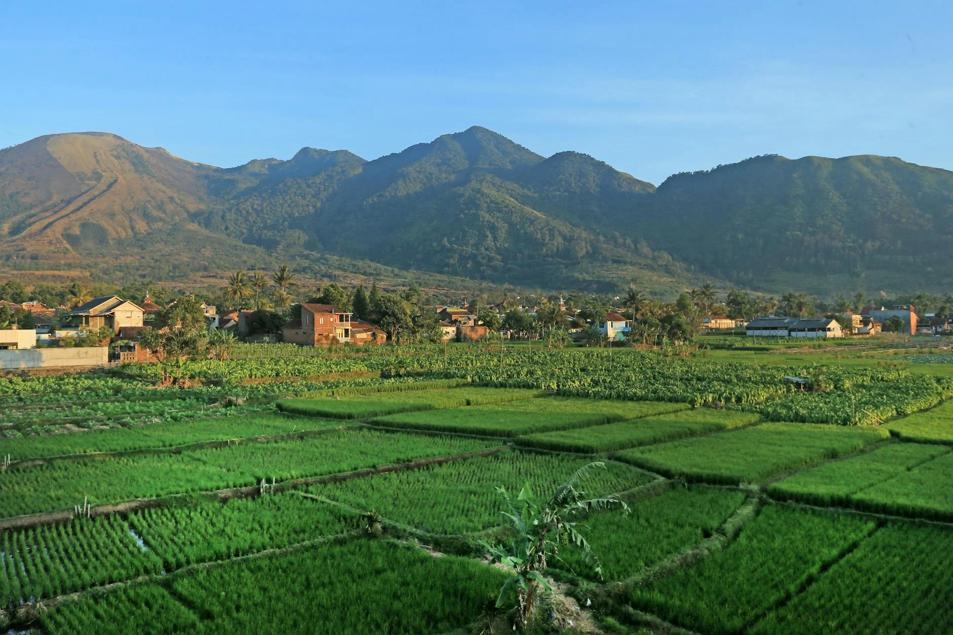 Rumah Disewakan Harian Untuk Liburan Di Puncak